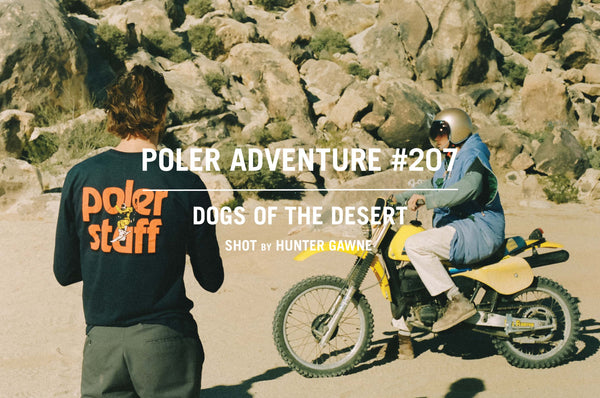 DOGS OF THE DESERT